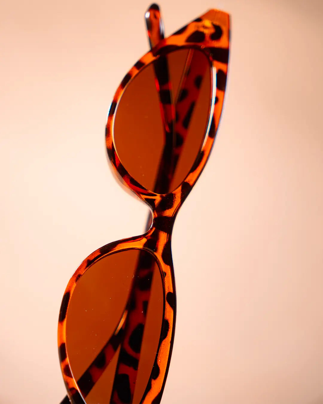 Gafas África Fox